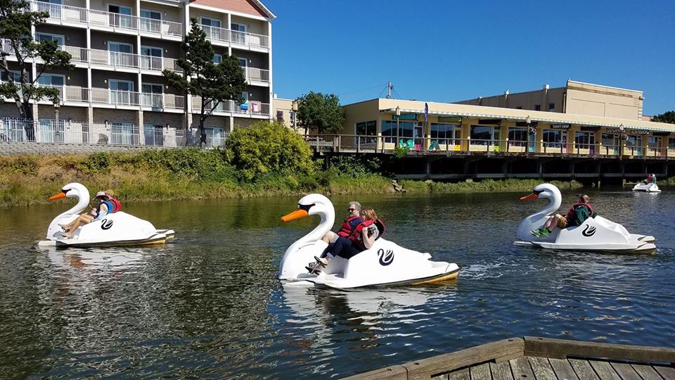 Swan Boat rentals in Los Angeles, CA