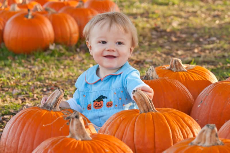 Welcome to the Veterans Memorial Park Pumpkin Patch