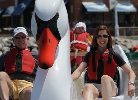 Swan Boat rentals from Wheel Fun Rentals