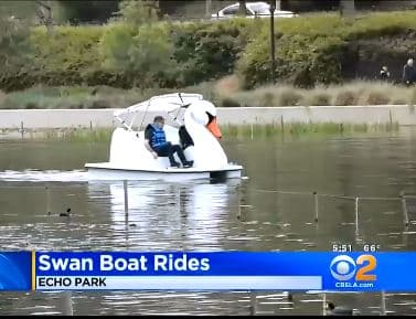 Swan-boats-echo-park-lake-balboa-boat-rentals-cbs-news