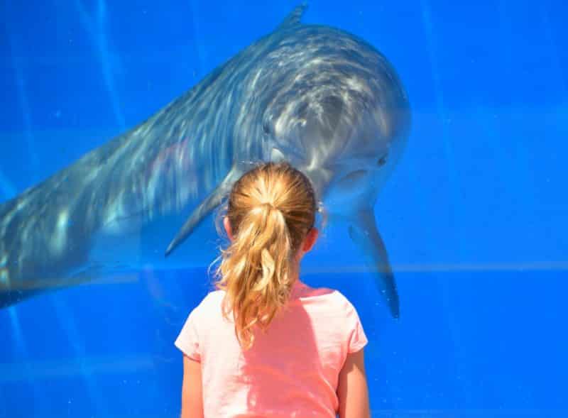 Aquarium in Seaside, OR